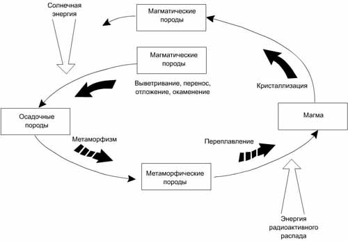 Составьте схему круговорота фосфора и разными стрелками покажите перемещение фосфорсодержащих